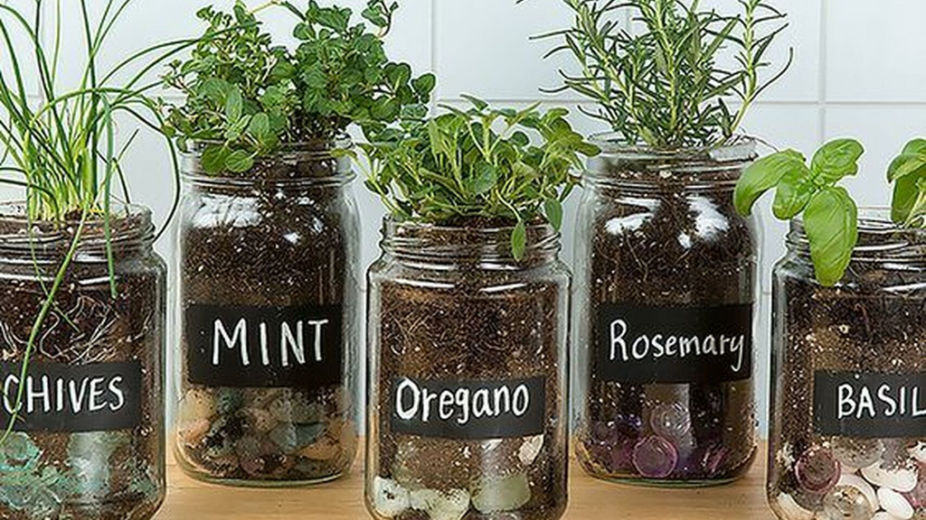 Top 6 Ideas to Reuse and Recyle at Home