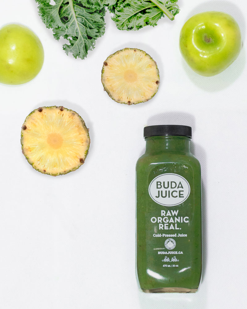 2-Pack: Zen Kale – 2x475ml