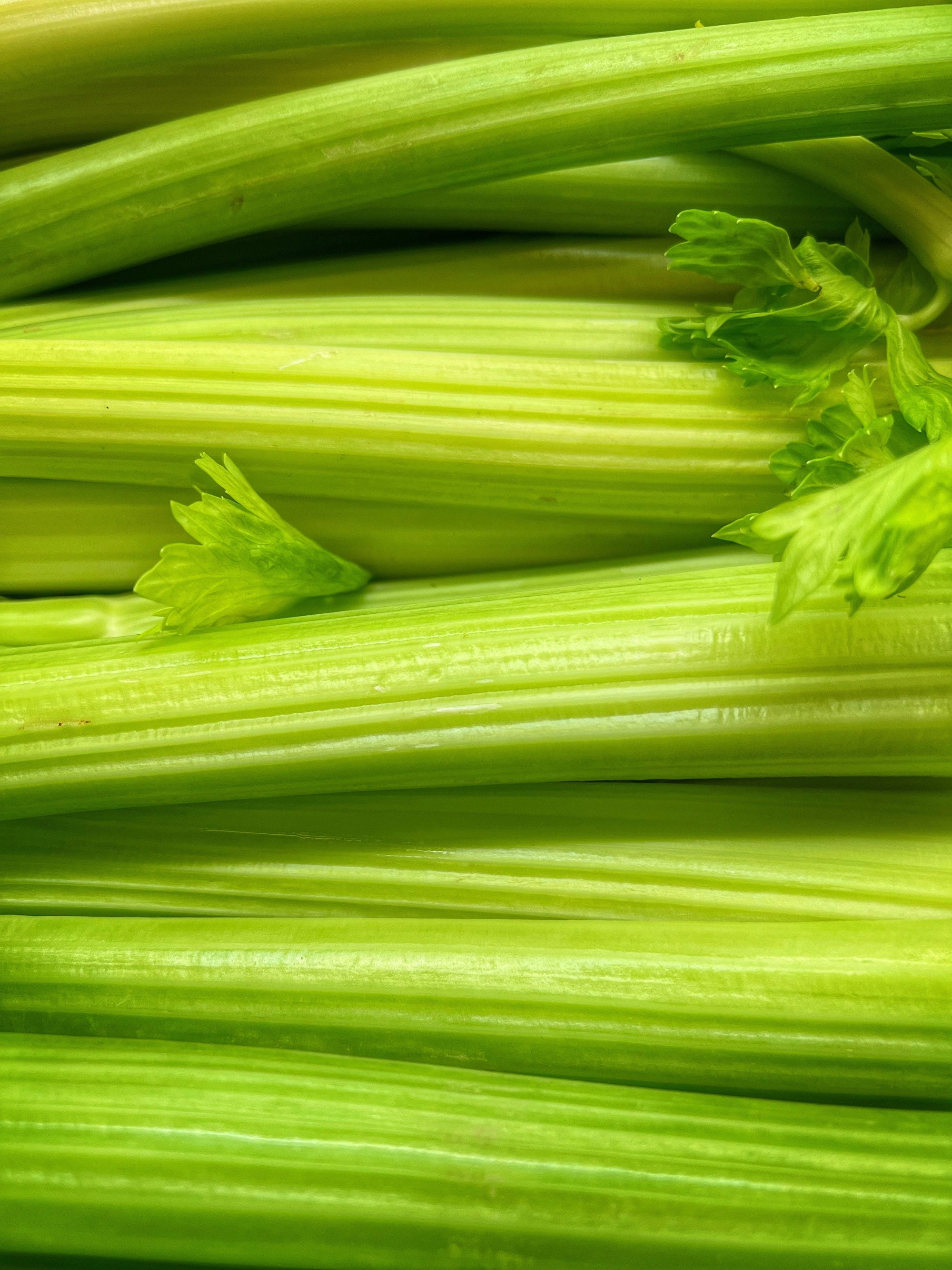 The Good Root 100% Celery Juice