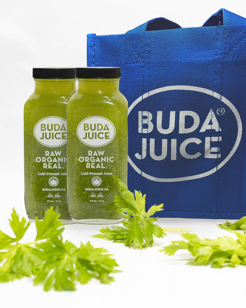 6-Pack: 100% Celery – 6x475ml